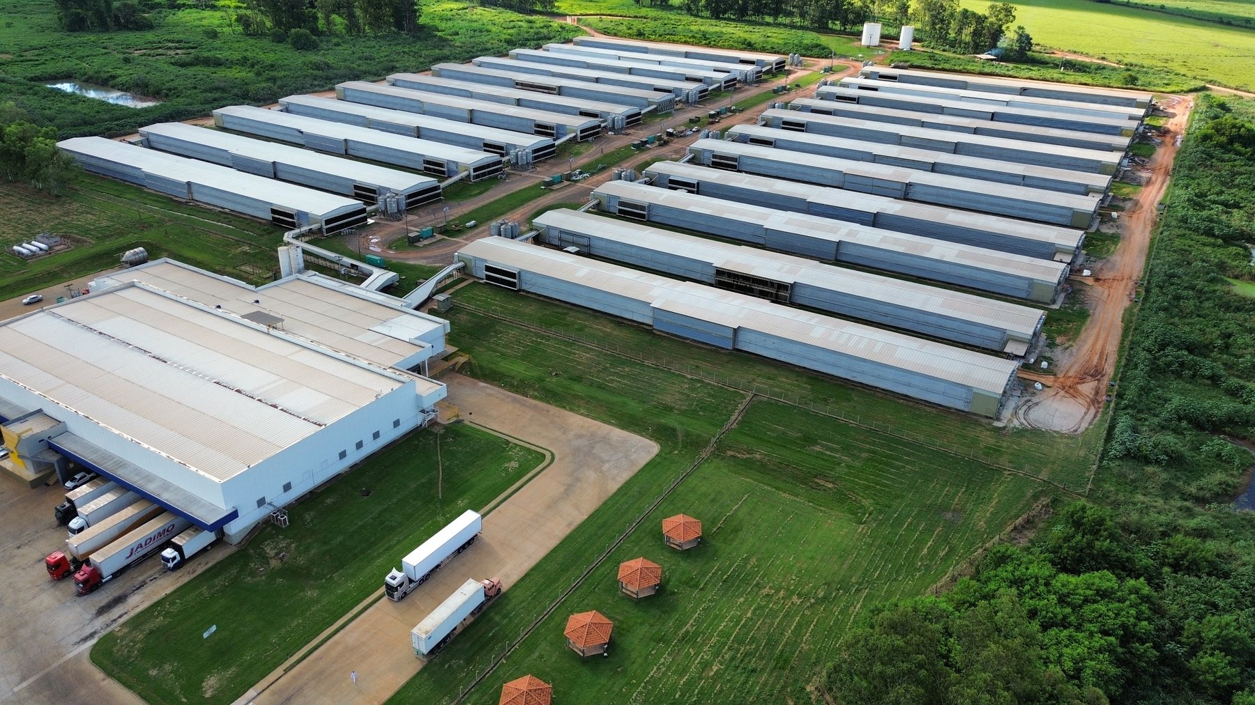 Ambiente agroindustrial de granjas e produção animal